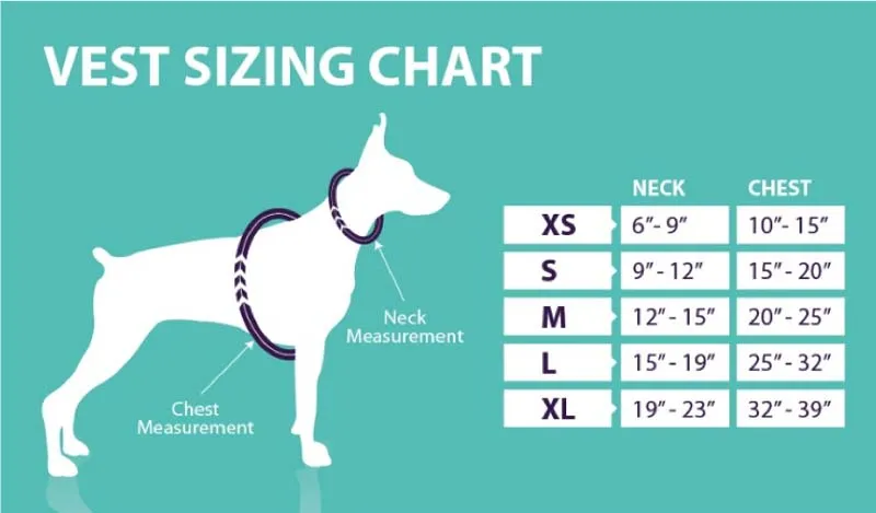 Calmer Canine Anxiety Treatment System - Device with Vest