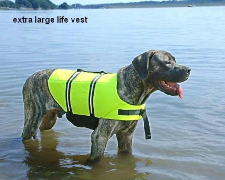 Dog Life Jacket ~ (6 Sizes) ~ Yellow