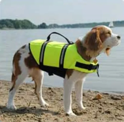 Dog Life Jacket ~ (6 Sizes) ~ Yellow