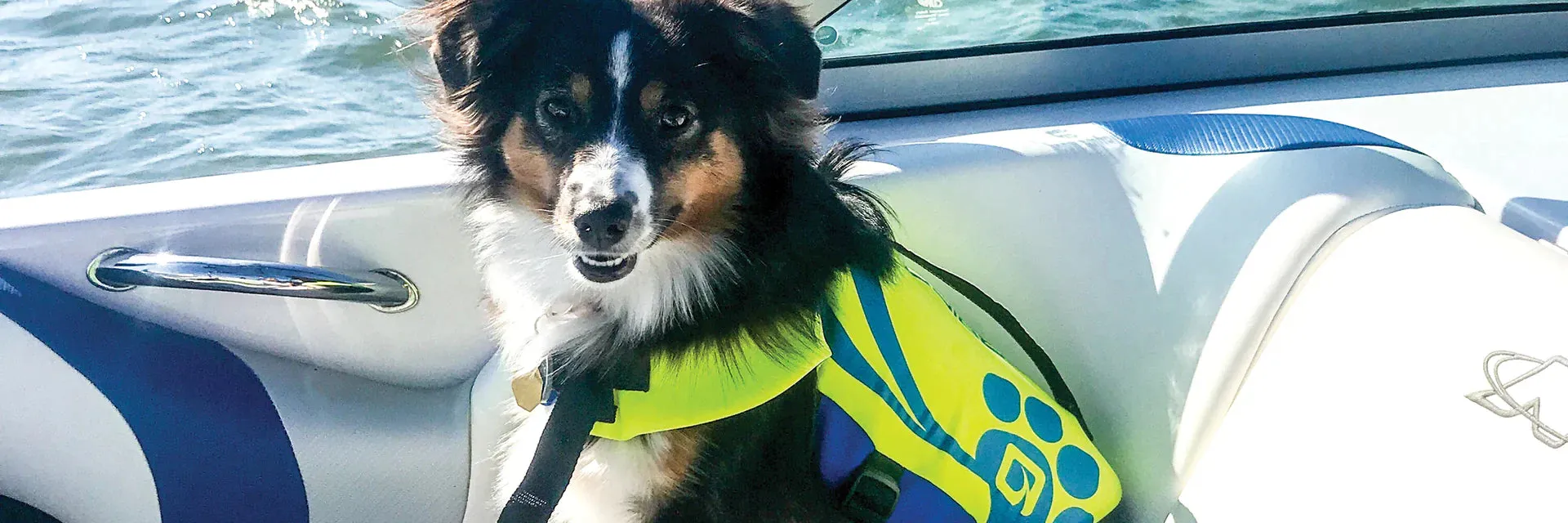 O'Brien Margaritaville Pet Vest